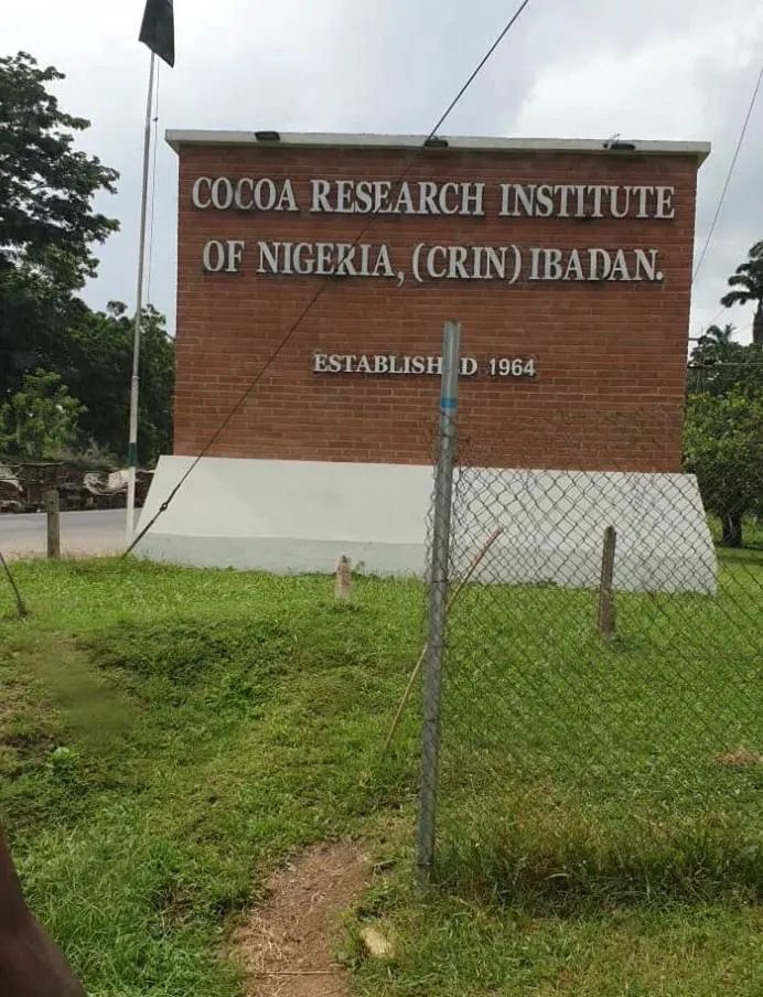 Oyo Police Confirms Kidnap of Four Farmers at Cocoa Research Institute Ibadan