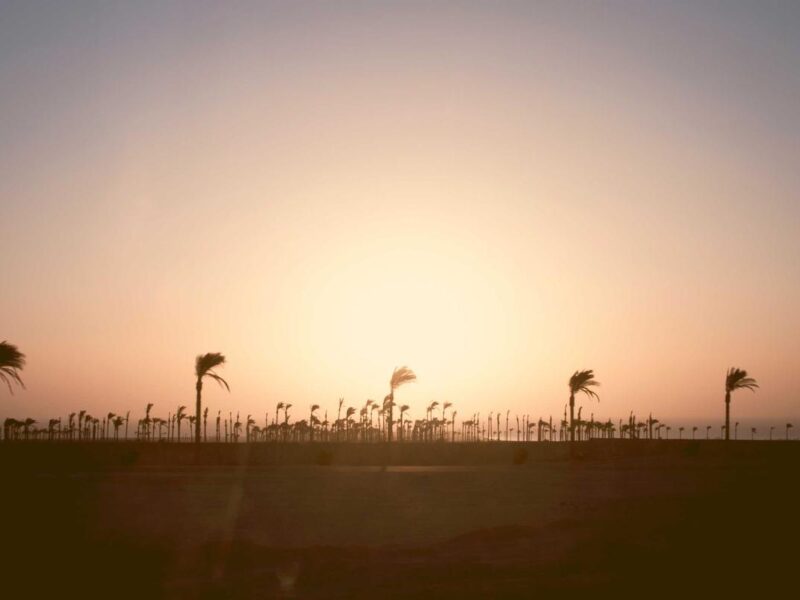 Arcu placerat volutpat sagittis molestie sodales orci potenti aliquet quisque torquent