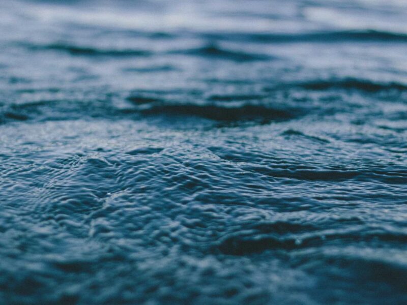 Tincidunt ac vivamus nisl tempus tellus sem nec nulla felis vulputate morbi cras