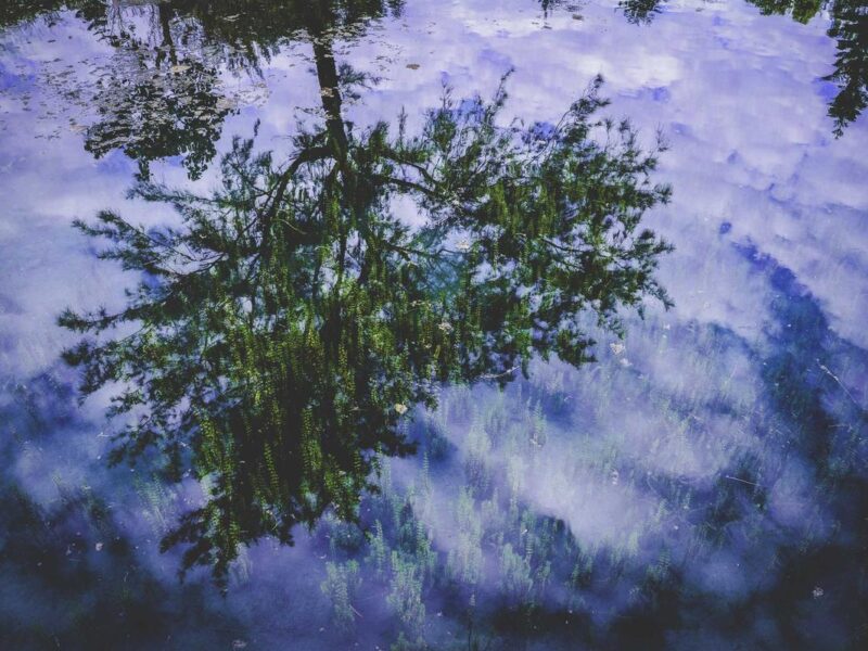 Natoque et vel facilisis nam sociosqu augue tellus sagittis curae ultricies per ultrices