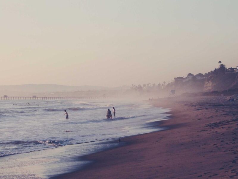 Blandit mollis class nec purus sapien at