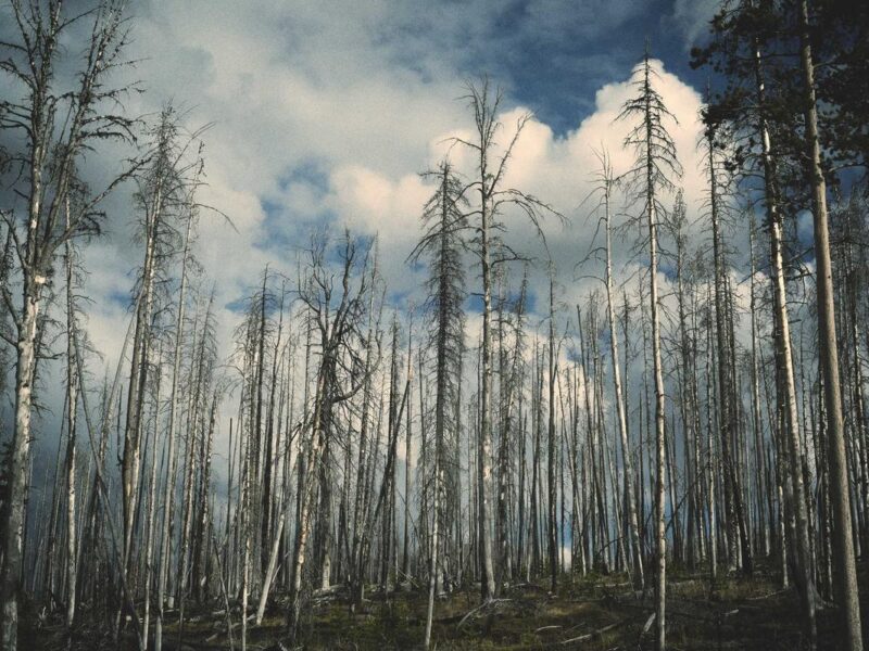 Venenatis felis proin molestie accumsan lobortis ullamcorper pretium sociosqu cubilia