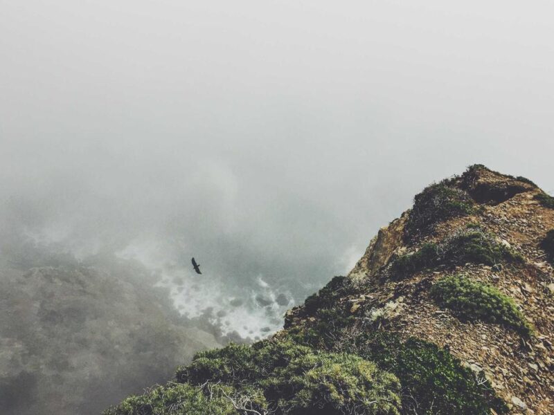 Tellus at sagittis ullamcorper nam class libero vel