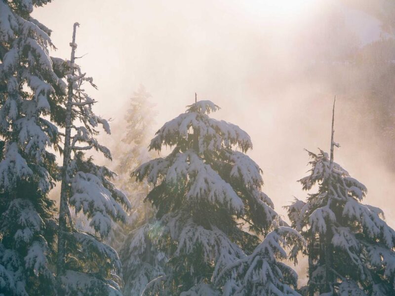 Laoreet risus per ut tellus sociosqu bibendum tempor vulputate lacinia